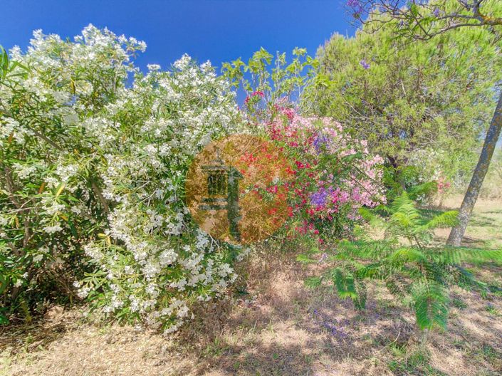 Image No.50-Maison de 4 chambres à vendre à Ayamonte