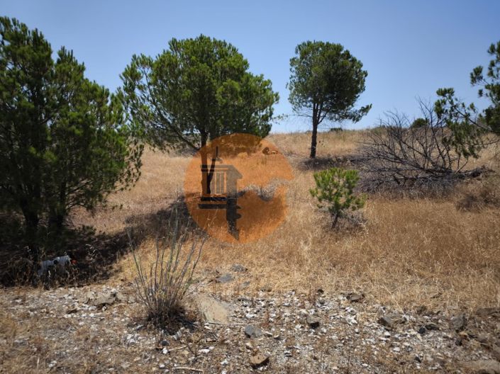 Image No.19-Farmhouse for sale