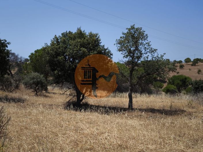 Image No.21-Farmhouse for sale