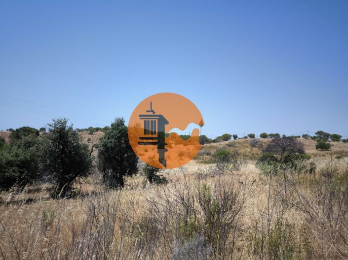 Image No.24-Farmhouse for sale