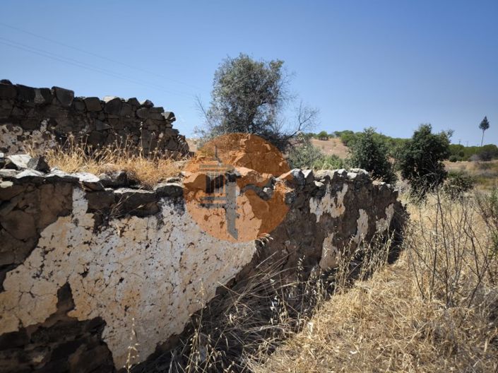 Image No.28-Farmhouse for sale