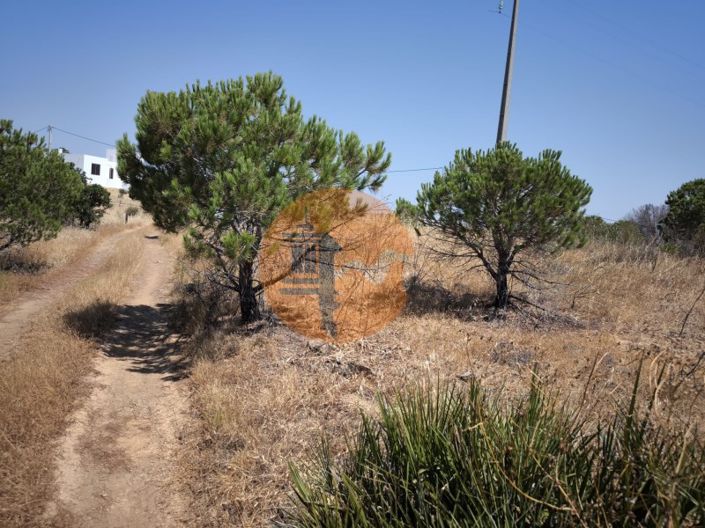 Image No.30-Farmhouse for sale