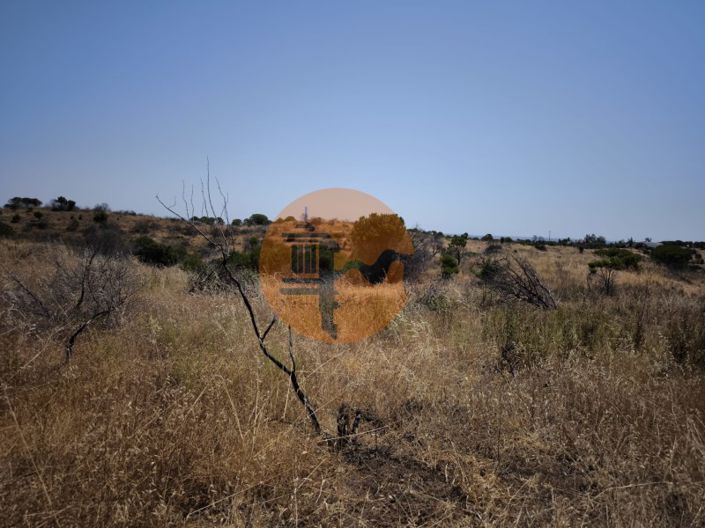 Image No.33-Farmhouse for sale