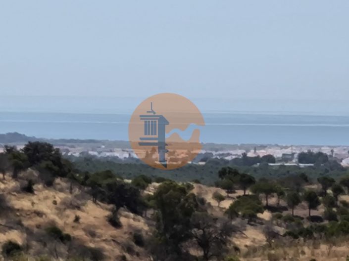 Image No.35-Farmhouse for sale