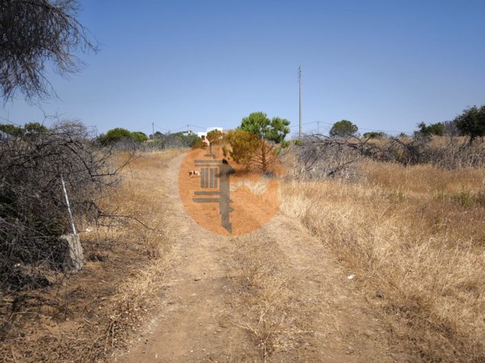Image No.36-Farmhouse for sale