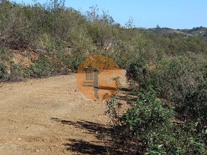 Image No.11-Plot for sale