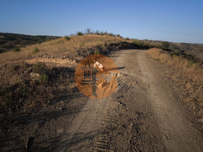 Image No.20-Plot for sale