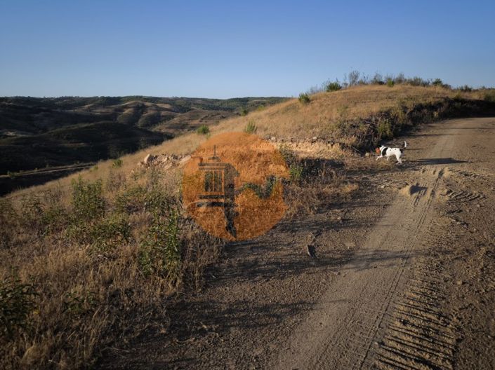 Image No.21-Plot for sale