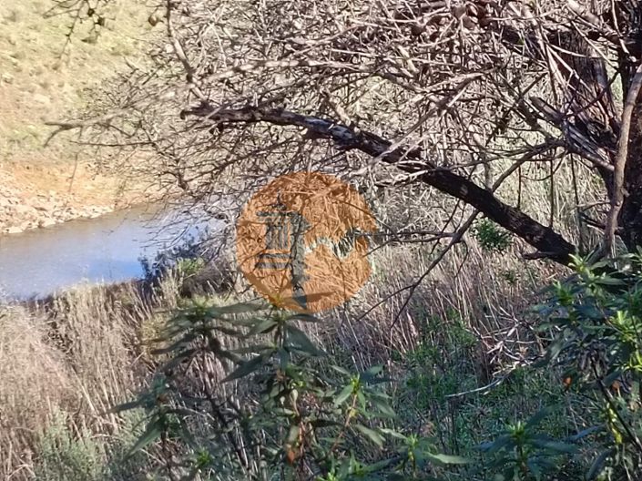 Image No.4-Plot for sale