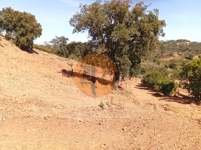 Image No.4-Terrain à vendre à Tavira