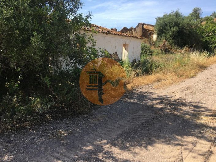 Image No.2-Plot for sale