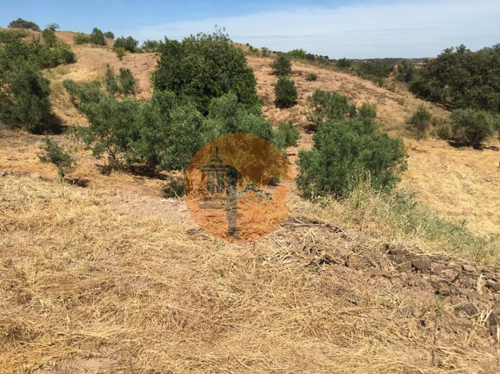 Image No.8-Plot for sale