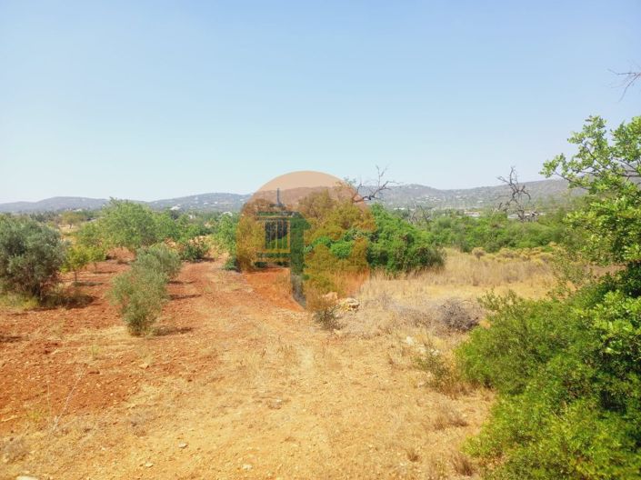 Image No.11-Plot for sale