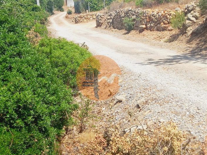 Image No.13-Plot for sale