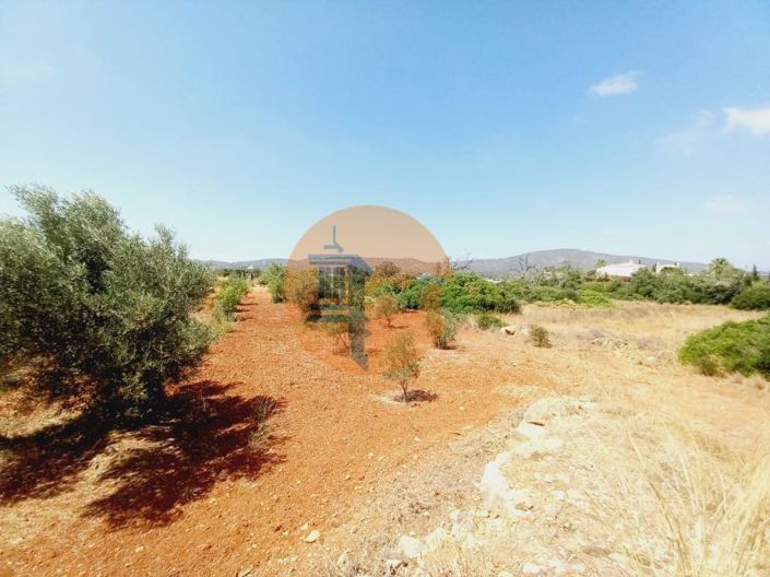 Image No.4-Plot for sale