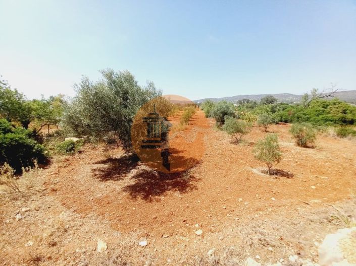 Image No.2-Plot for sale