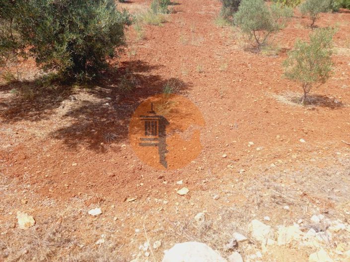 Image No.5-Plot for sale