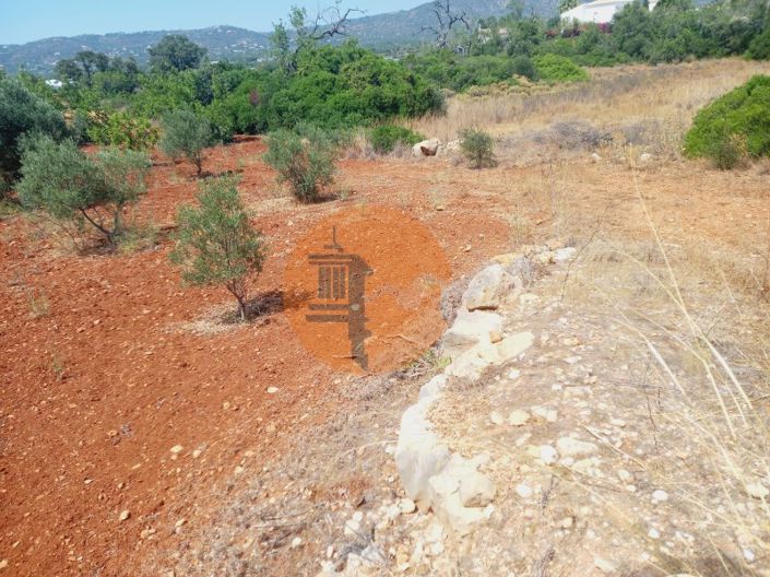 Image No.6-Plot for sale