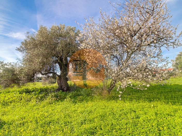 Image No.49-Plot for sale