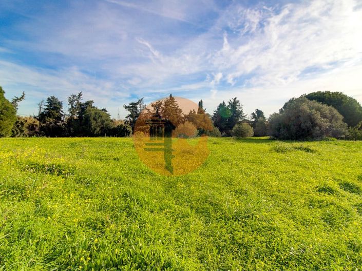 Image No.50-Plot for sale