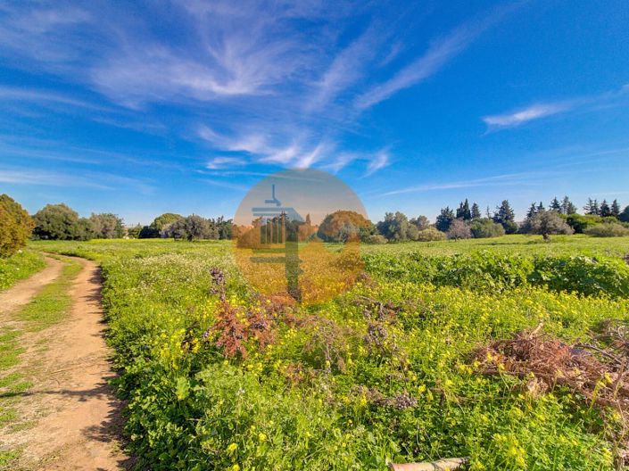 Image No.51-Plot for sale