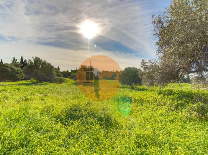 Image No.52-Plot for sale