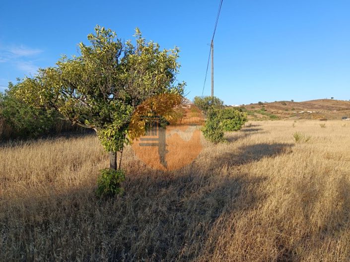 Image No.14-Commercial for sale