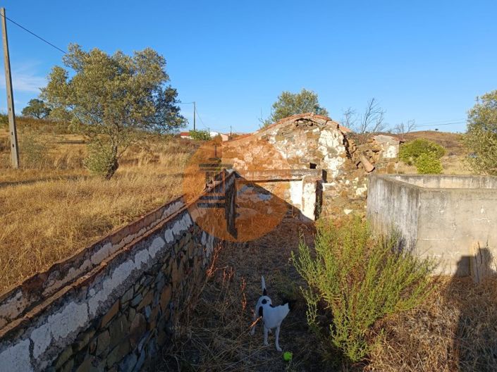 Image No.9-Commercial for sale