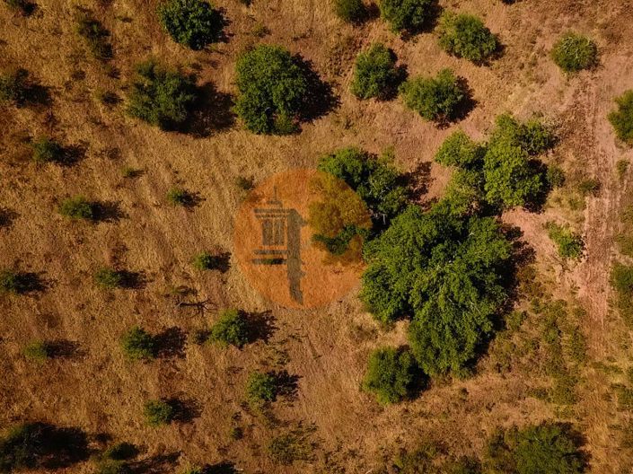 Image No.12-Commercial for sale