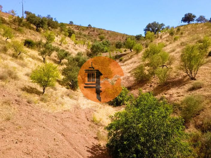 Image No.14-Commercial for sale