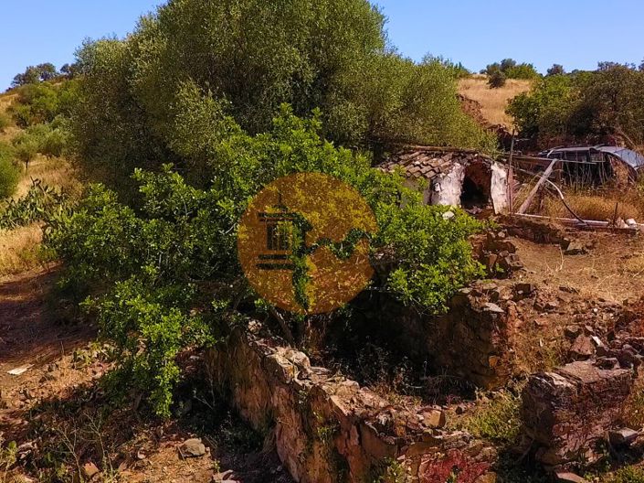 Image No.15-Commercial for sale