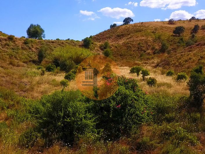 Image No.20-Commercial for sale