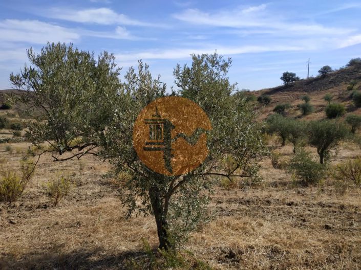 Image No.26-Commercial for sale