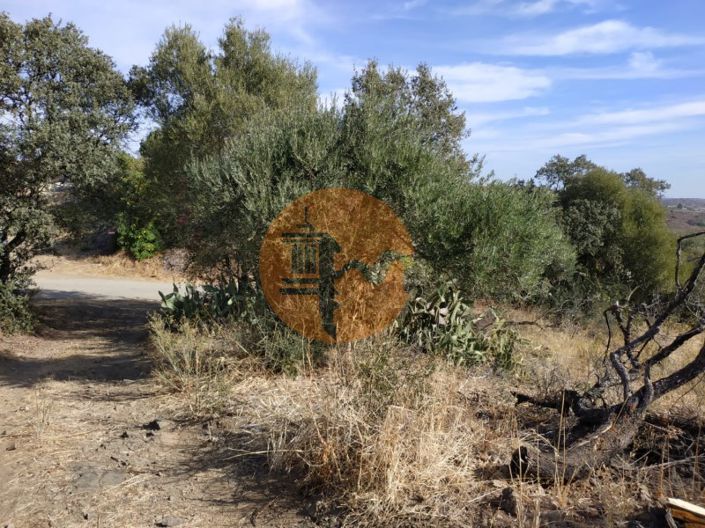 Image No.29-Commercial for sale