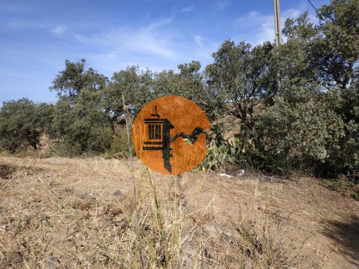 Image No.31-Commercial for sale