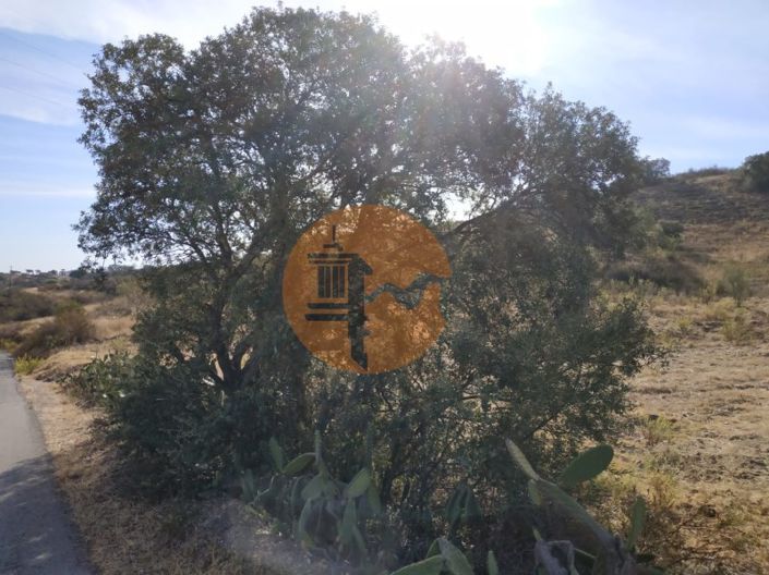 Image No.45-Commercial for sale