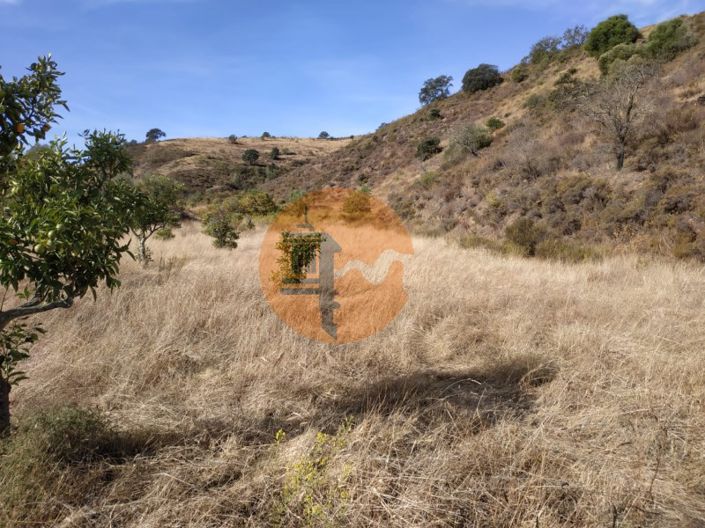 Image No.46-Commercial for sale