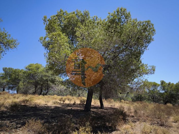 Image No.1-Plot for sale