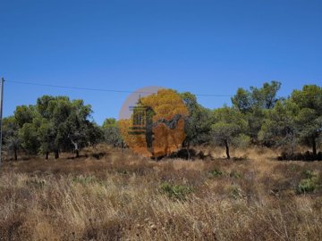 id4b517f01-0000-0500-0000-00001366b834