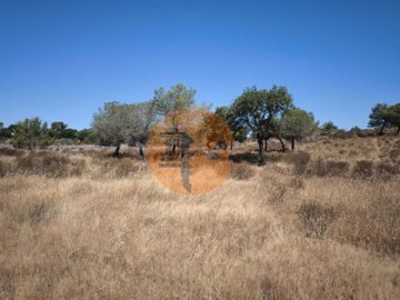 id4b517f01-0000-0500-0000-00001366b835