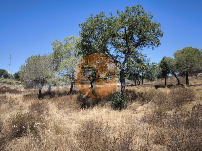 Image No.13-Plot for sale