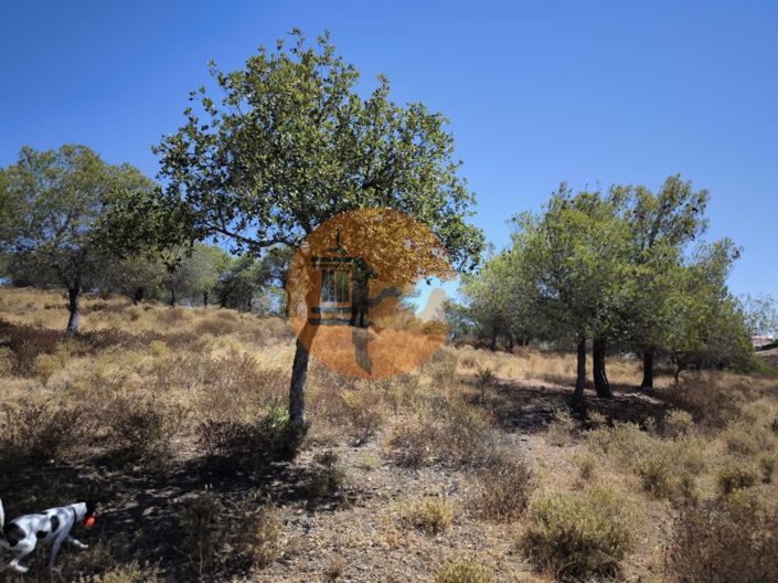 Image No.16-Terrain à vendre à Castro Marim