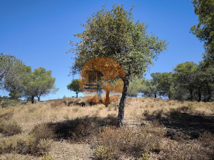 Image No.20-Plot for sale