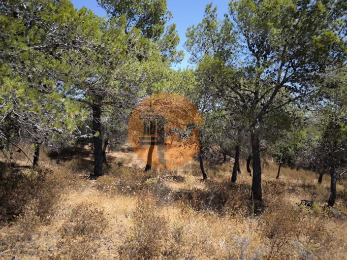 Image No.21-Terrain à vendre à Castro Marim