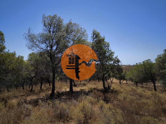 Image No.22-Terrain à vendre à Castro Marim