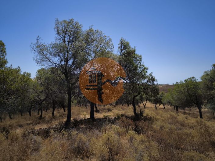 Image No.22-Plot for sale