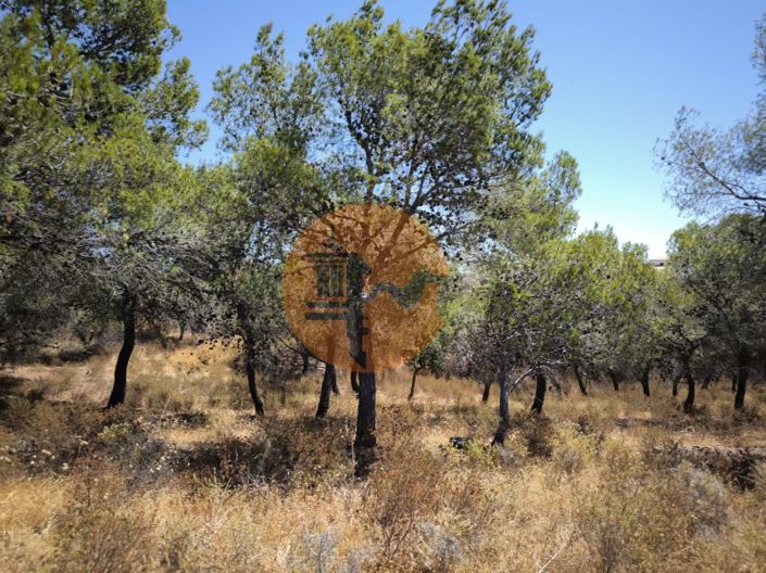 Image No.23-Terrain à vendre à Castro Marim