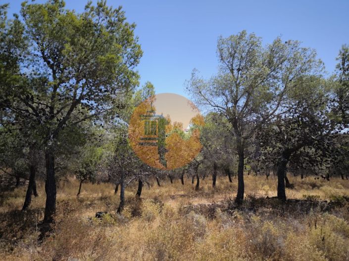 Image No.24-Plot for sale