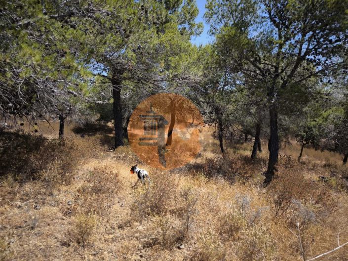 Image No.25-Terrain à vendre à Castro Marim