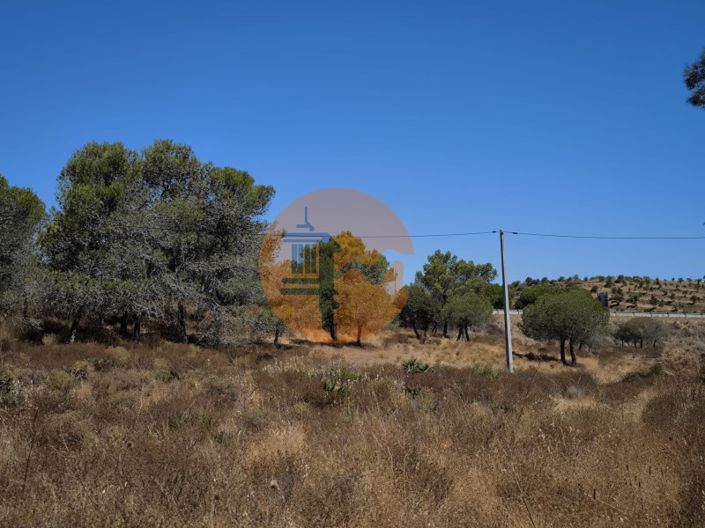 Image No.3-Plot for sale